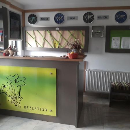 Hotel Nut House Retezat Nucsoara  Exteriér fotografie